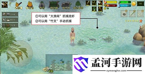 挨饿荒野菲律宾海岛收集5颗海星