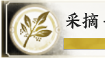 游侠网7