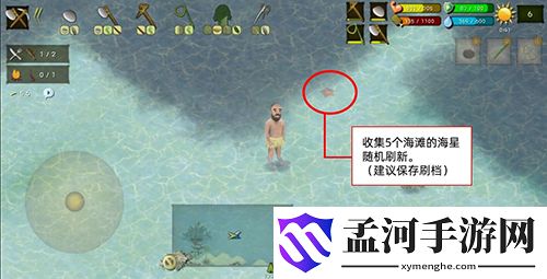 挨饿荒野菲律宾海岛收集5颗海星