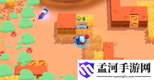 荒野乱斗纳尼能力之星搭配推荐