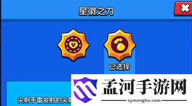 荒野乱斗仙人掌星辉带什么