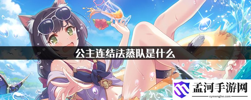 公主连结法蒸队搭配攻略