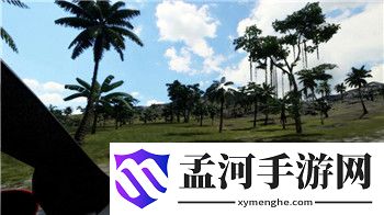 《双人成行》新攻略：手柄设置与技巧全解析，畅享合作游戏乐趣
