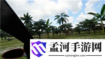 伊丁天堂：职业选择攻略，介绍哪个职业最适合你